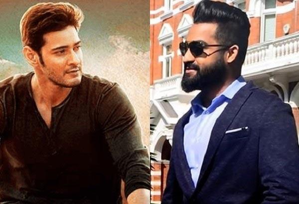 NTR Fans Anger on Mahesh Tweet?