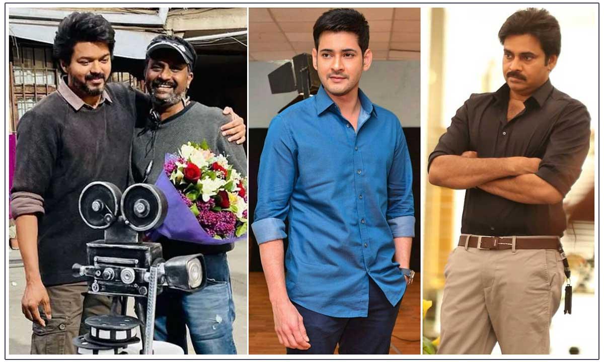 Pawan Kalyan - Mahesh Babu reacts on Thalapathy Vijay