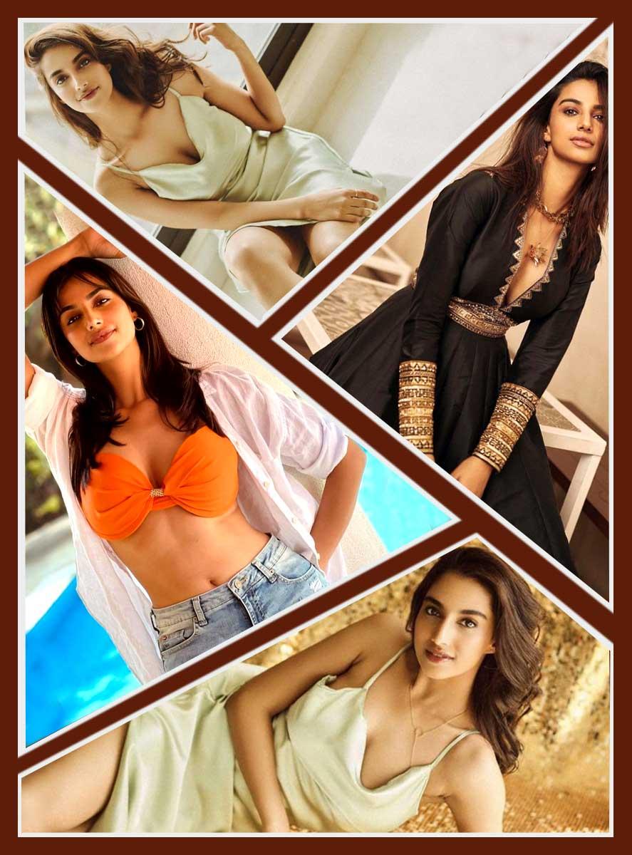 Meenakshi Chaudhary on Tollywood Stars
