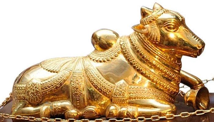 Mega Family No Nandi for 15 Yrs! No Problem