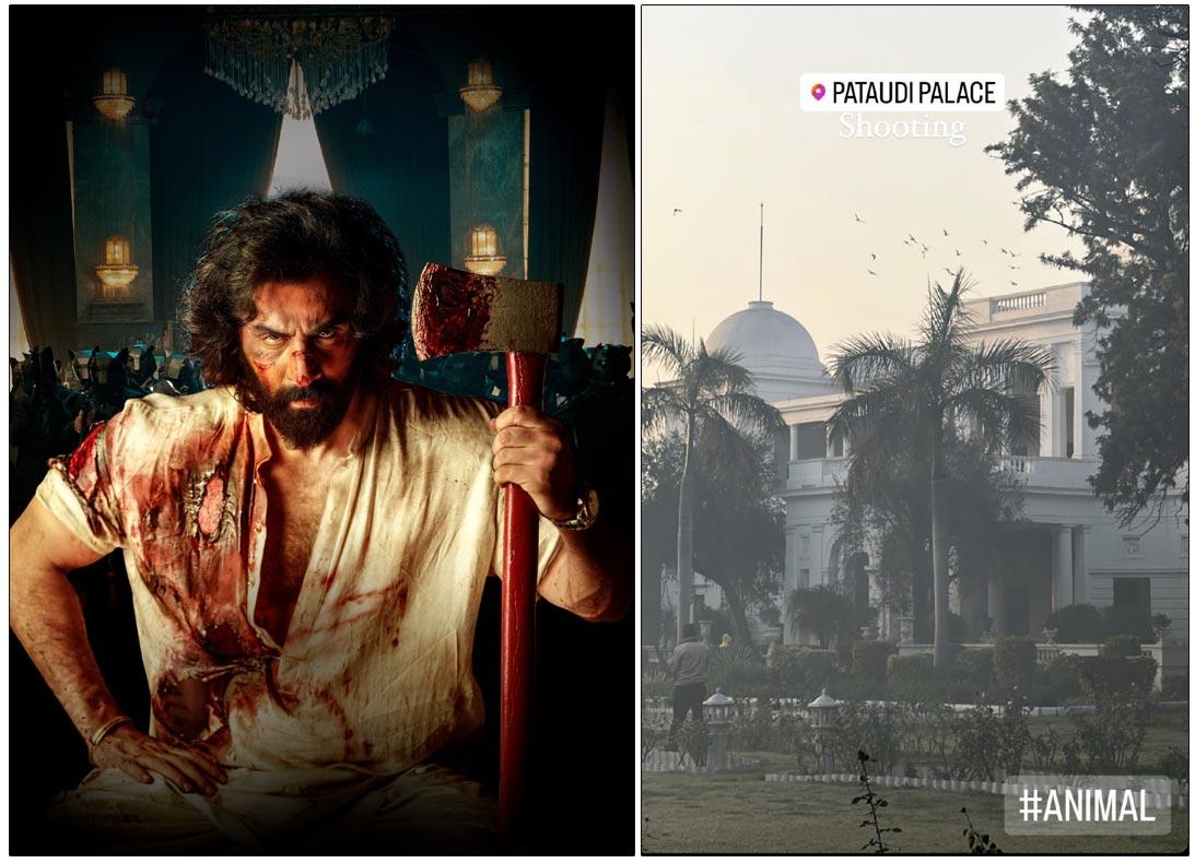 Ranbir House In Animal Is Actually Saif Ali Khan Pataudi Palace
