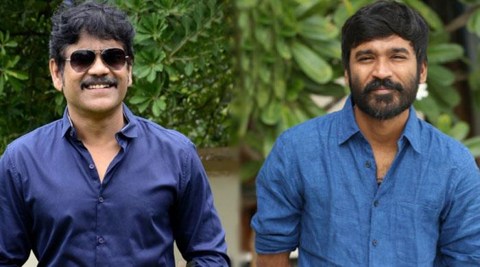 Two Brothers To Direct Nagarjuna