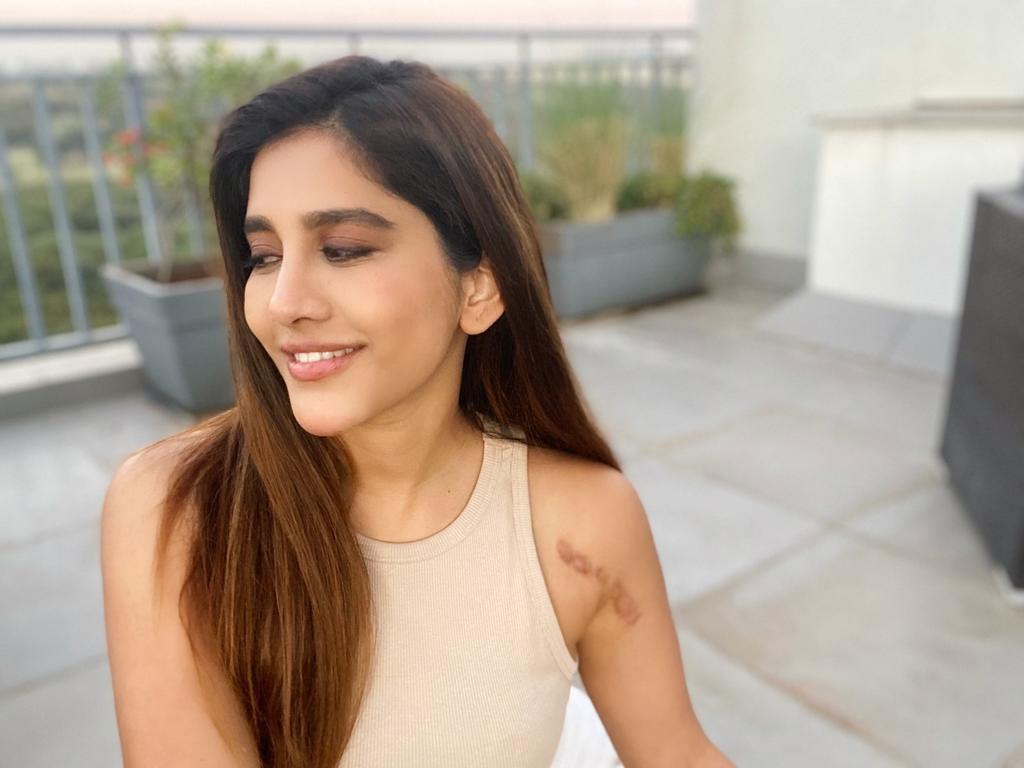 Nabha Natesh suffers a major accident