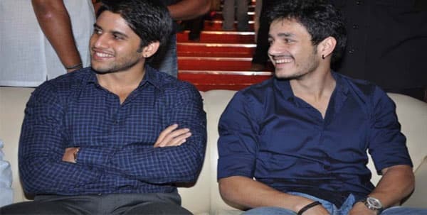 Chay and Akhil: Who Will Marry First?