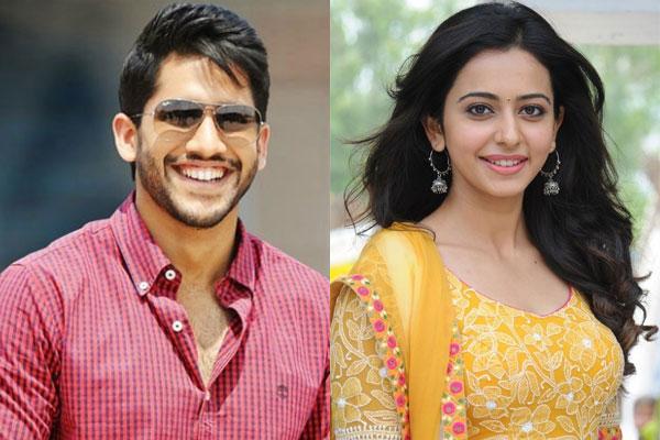 Good News: Chaitu-Rakul Kalyanam Soon