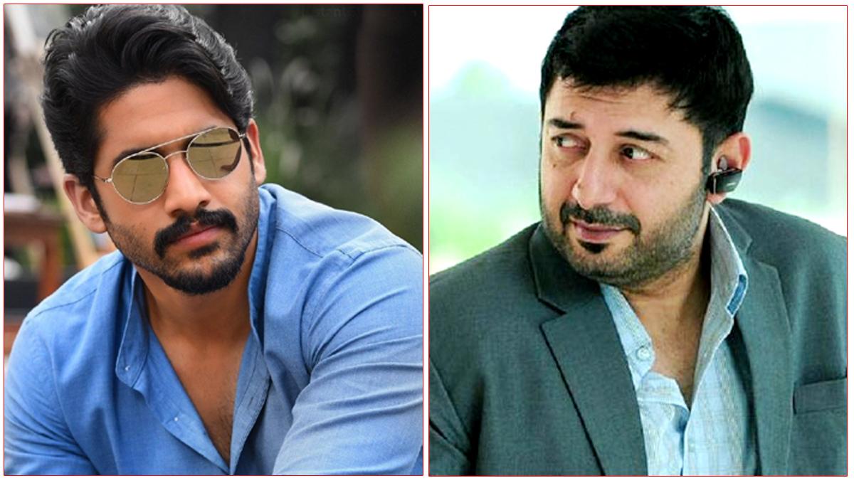 Naga Chaitanya to fight Aravind Swami