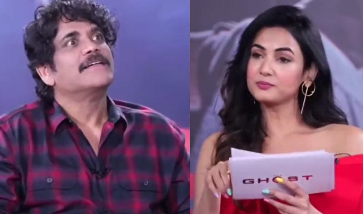 Nagarjuna, Sonal Chauhan Telugu temptations for The Ghost