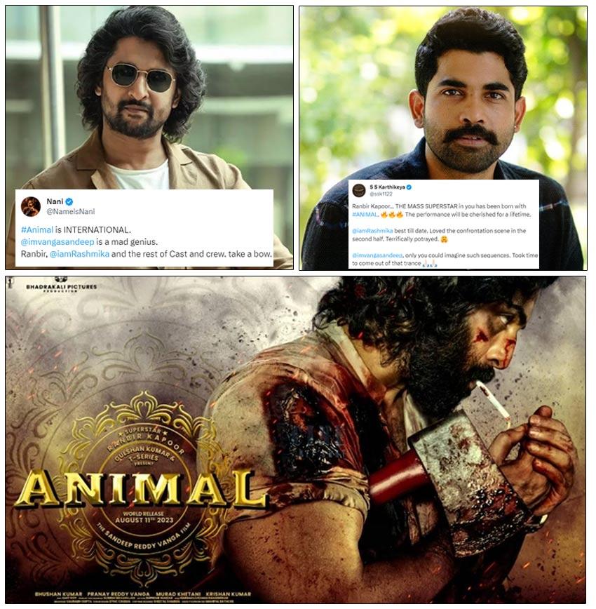 Celebrities Praise Ranbir Kapoor Animal