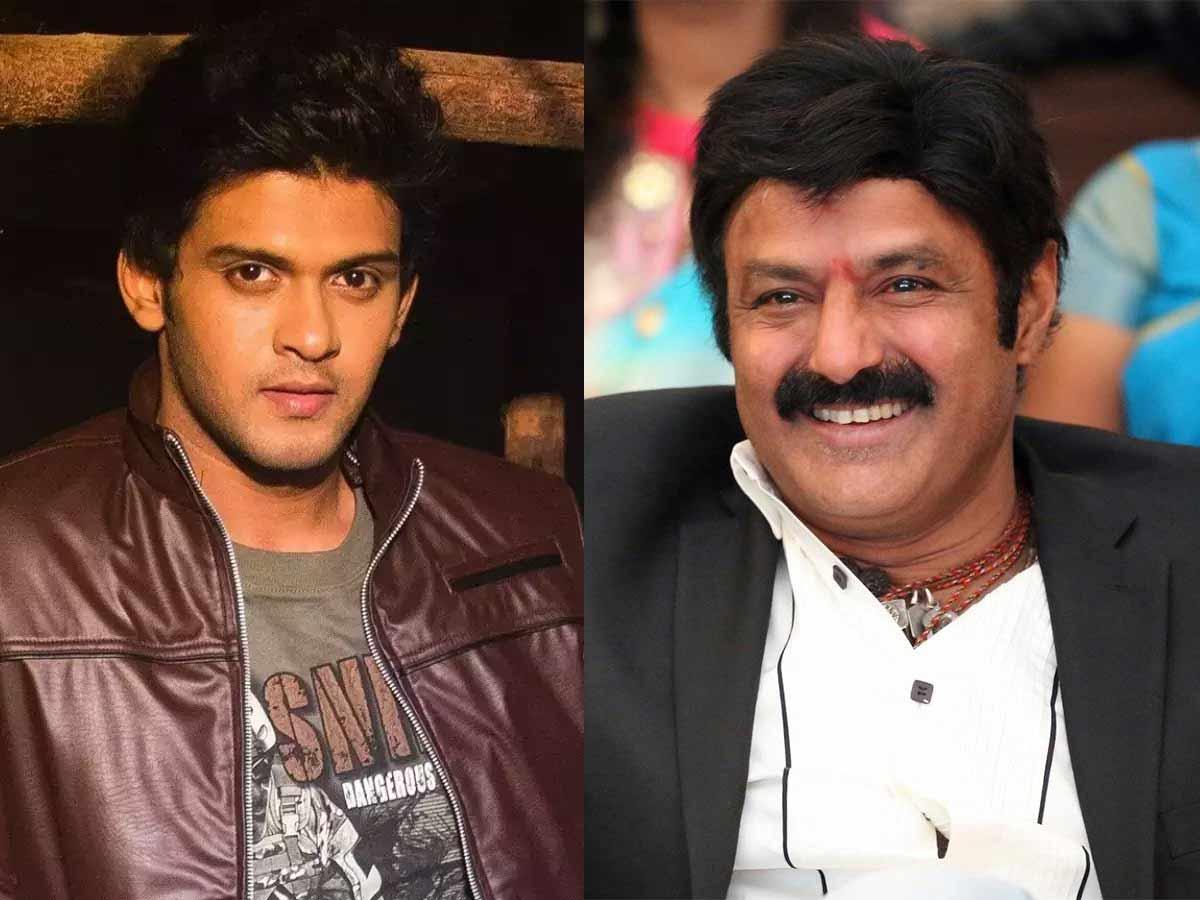 Talented Star in Balakrishna's next