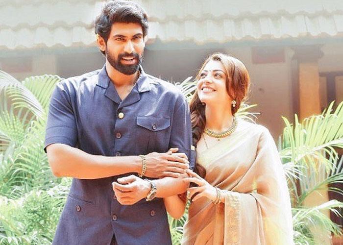 Nene Raju Nene Mantri 3 Days Collections