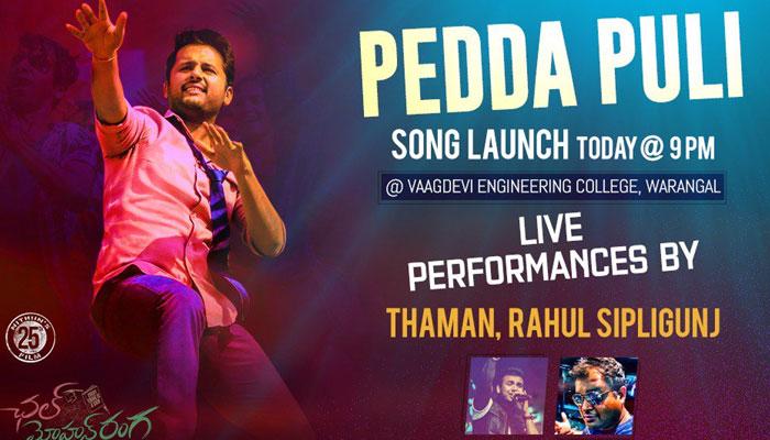 CMR Pedda Puli! Teenmaar at Peaks