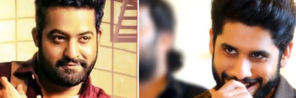 NTR Has a Threat of Akkineni Hero Again!