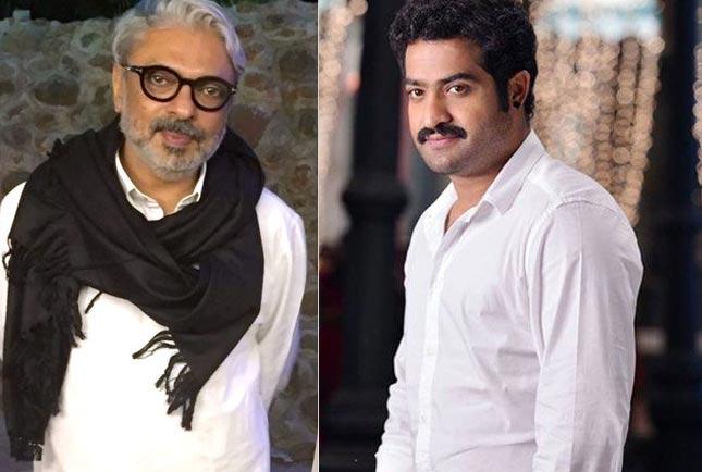NTR's sensation with Bhansali on cards