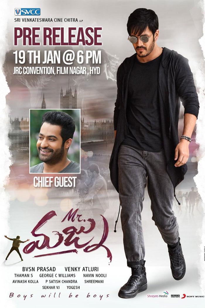 NTR's Support to Mr Majnu