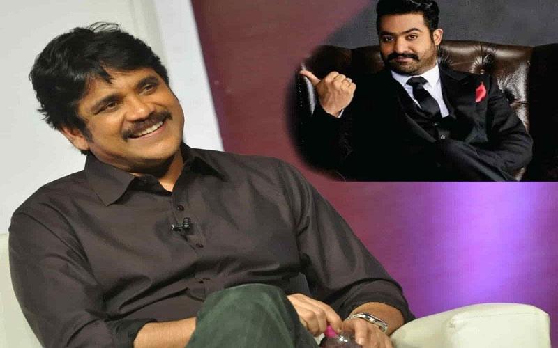 Nag Jolt! NTR Fans Challenge! Nag Fans Retort!