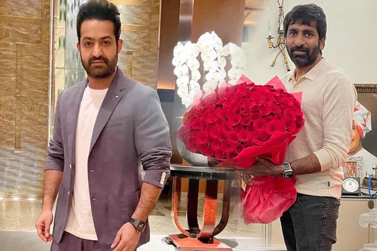 Gopichand Malineni missed NTR projects