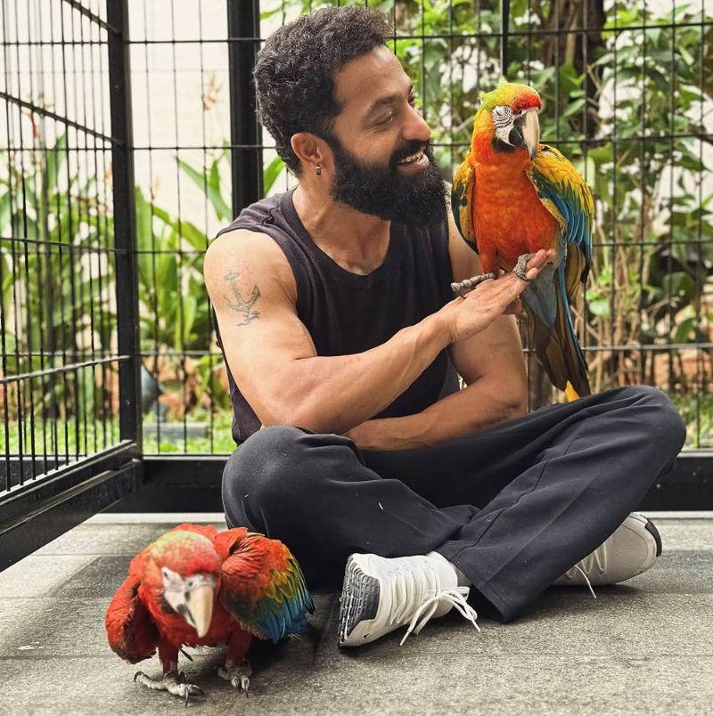 NTR introduces his new friends