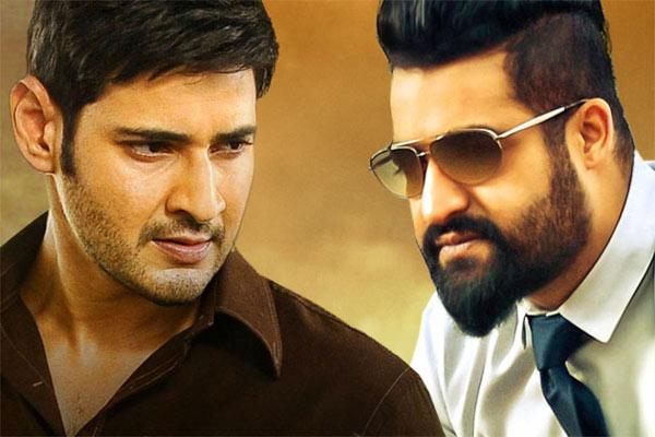 Director Rejects Mahesh, Picks NTR