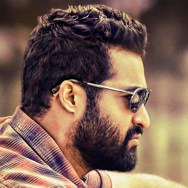 And Now, NTR Can Try for Different Genres