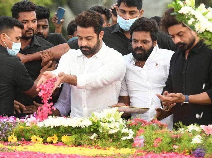 NTR reaction on CM slogans become talking point