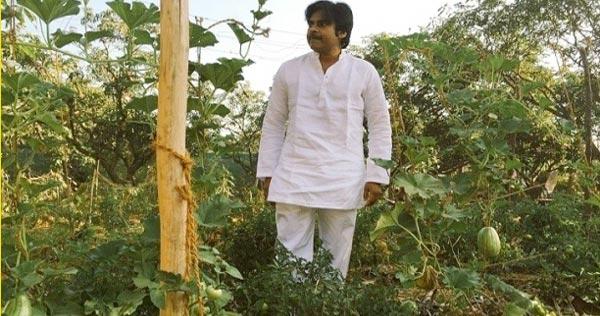 Pawan Kalyan, A Birth(Day) With Purpose