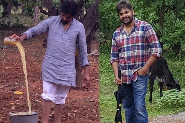 Pawan Kalyan Reacts On Jallikattu!