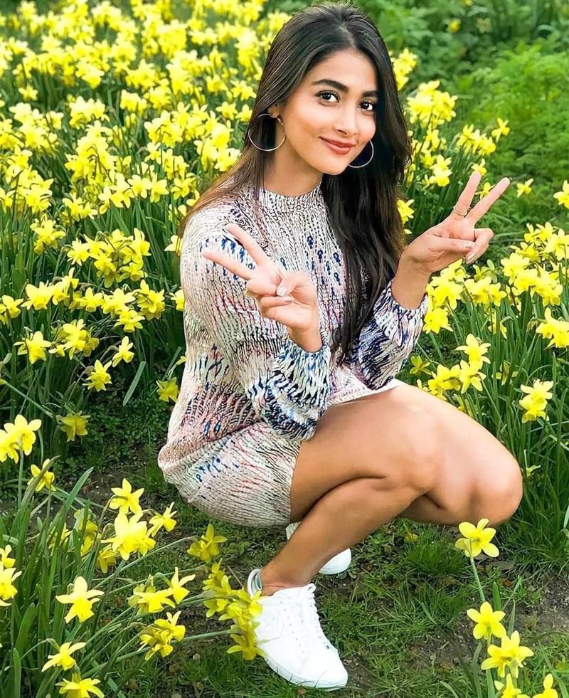 It's three in a row for Pooja Hegde