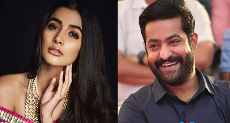Allu Arjun's Heroine for NTR