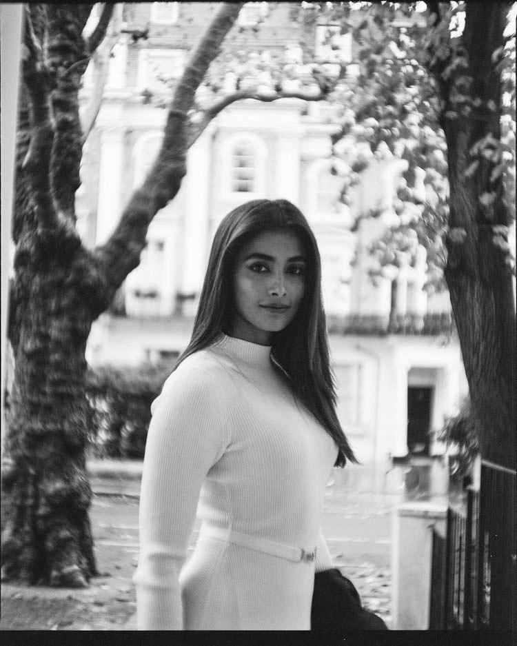 Pooja Hegde in the limelight again