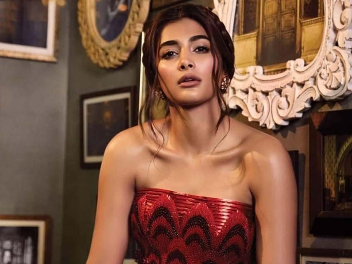 Hard Work Is Paying Off: Pooja