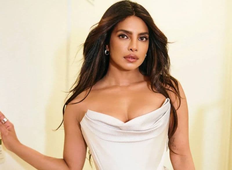 Priyanka Chopra about story ideas