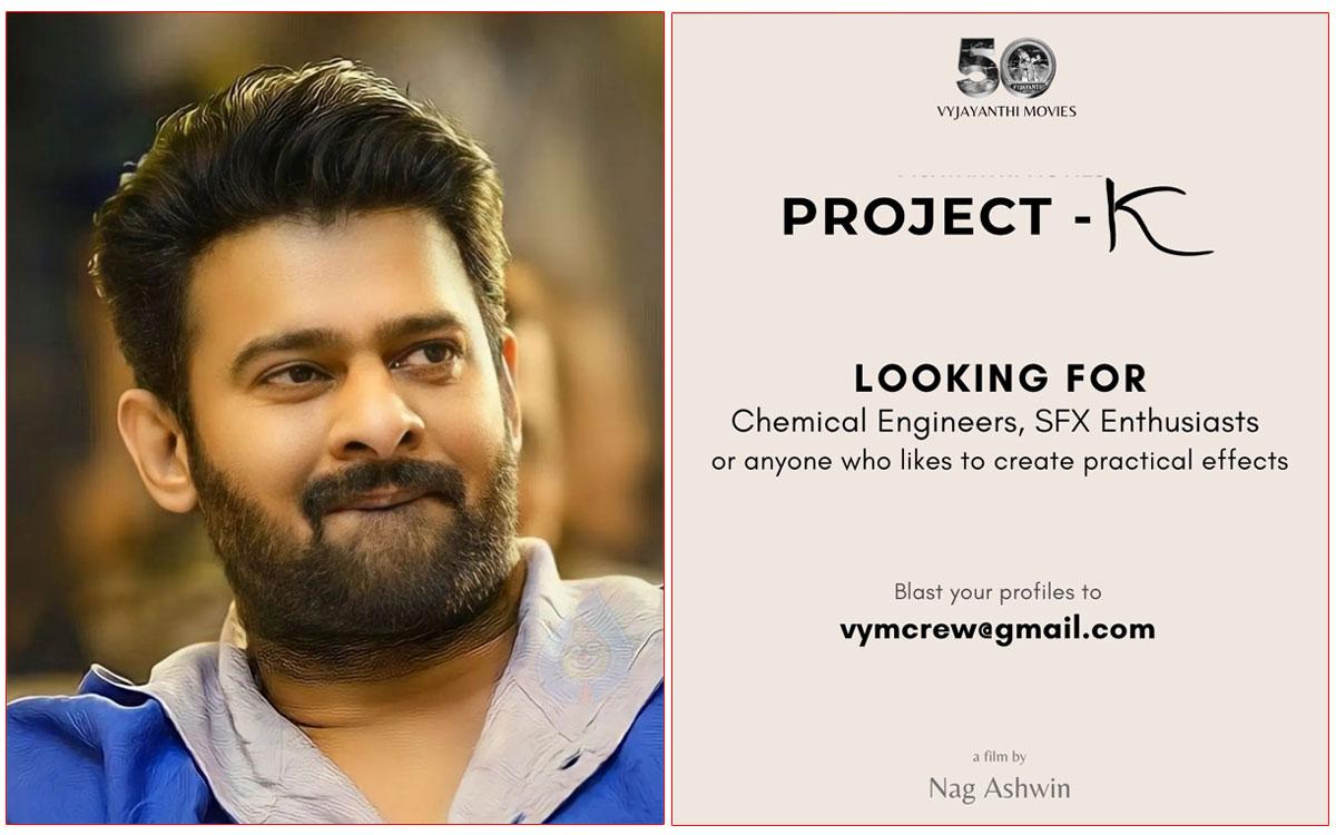 Project K seeking for them