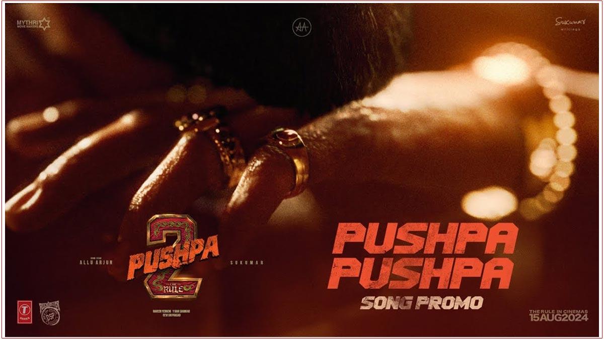 Promo Of Pushpa 2: The Rule First Single PUSHPA PUSHPA Is Out