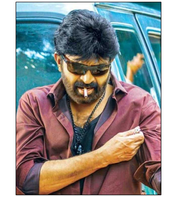 Rajasekhar should have bid his time