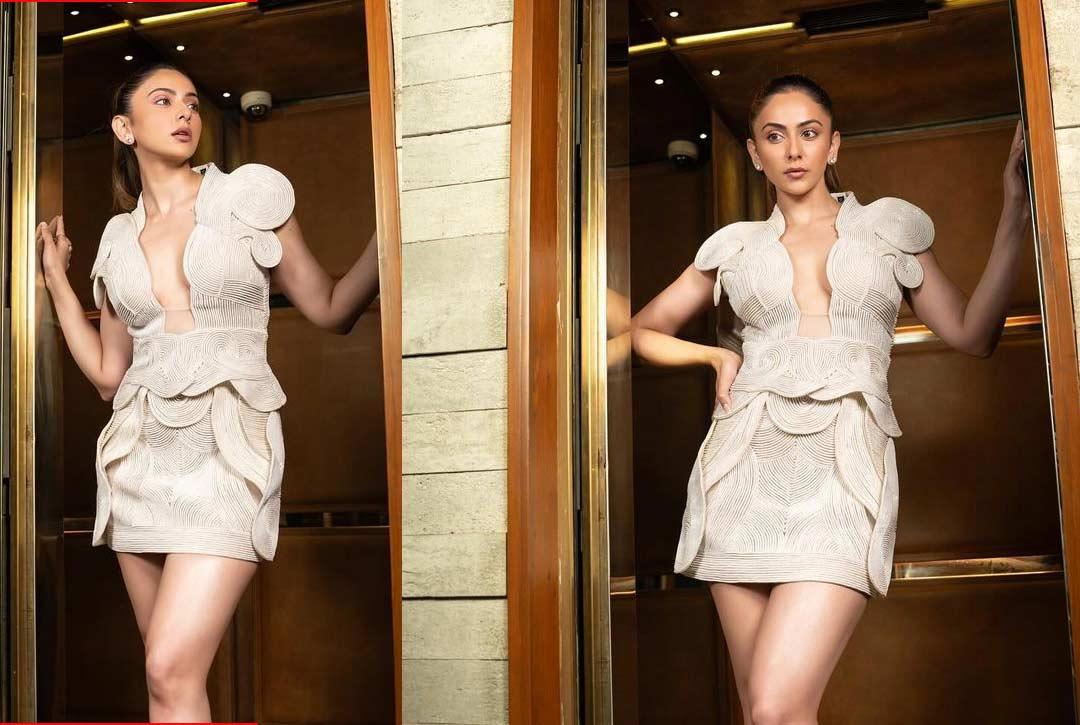 Rakul Preet coming back on screen after marriage