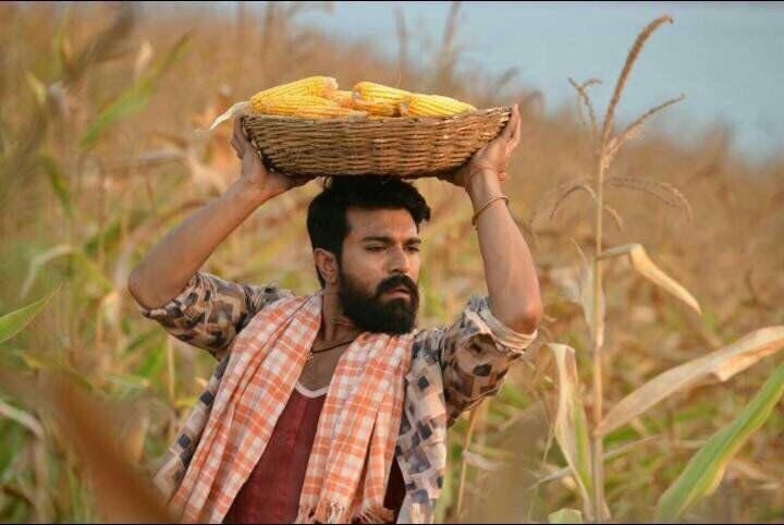 Charan Sensible Decision on Rangasthalam Pre Biz