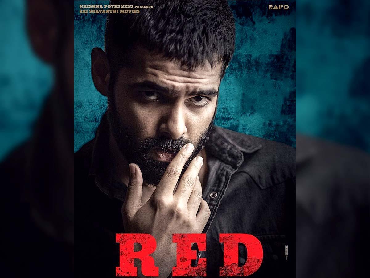Ram To Entertain On Sankranthi!