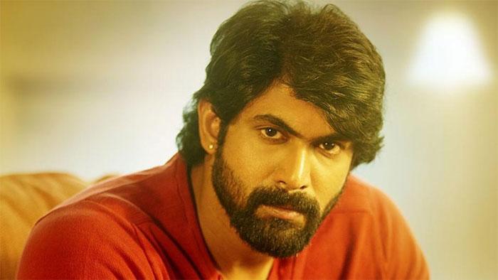 Rana Next Film On Elephants