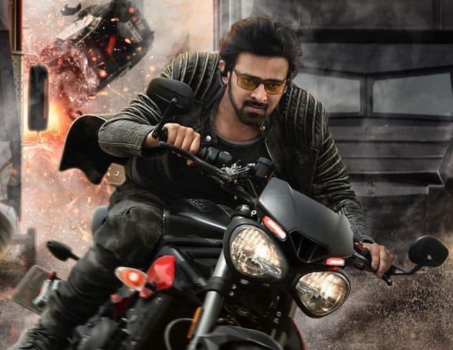 Saaho Downs High Profile Wicket