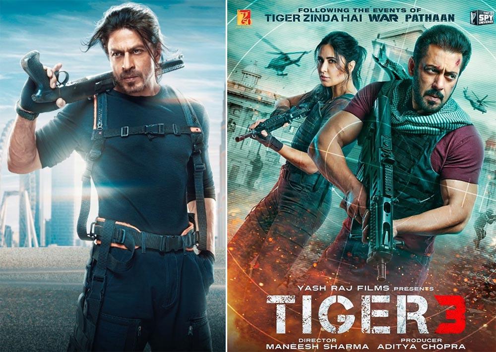 Shah Rukh Khan Cameo Elevates Salman Khan Tiger 3