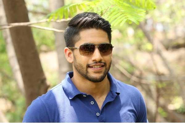 Naga Chaitanya's 6 Films in Pipeline!