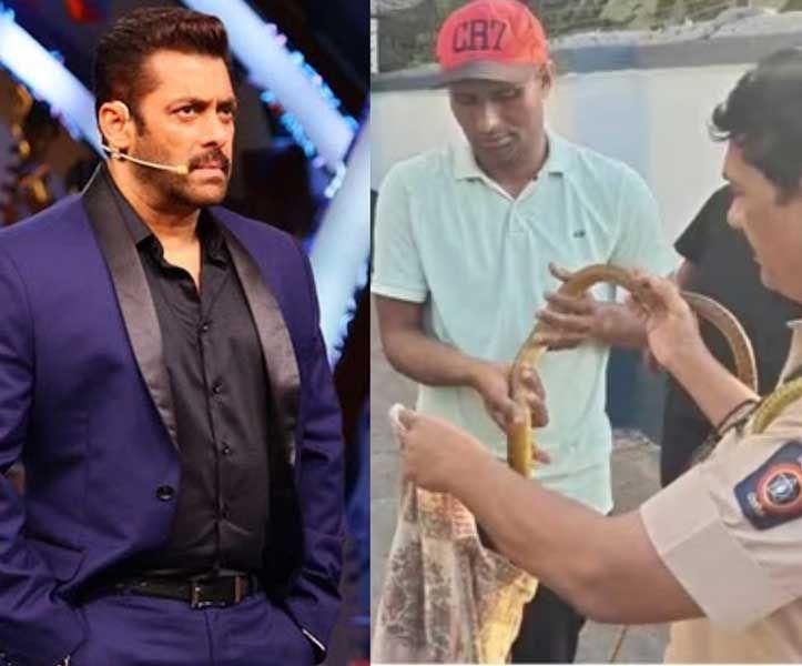 Snake enters Salman Khan house