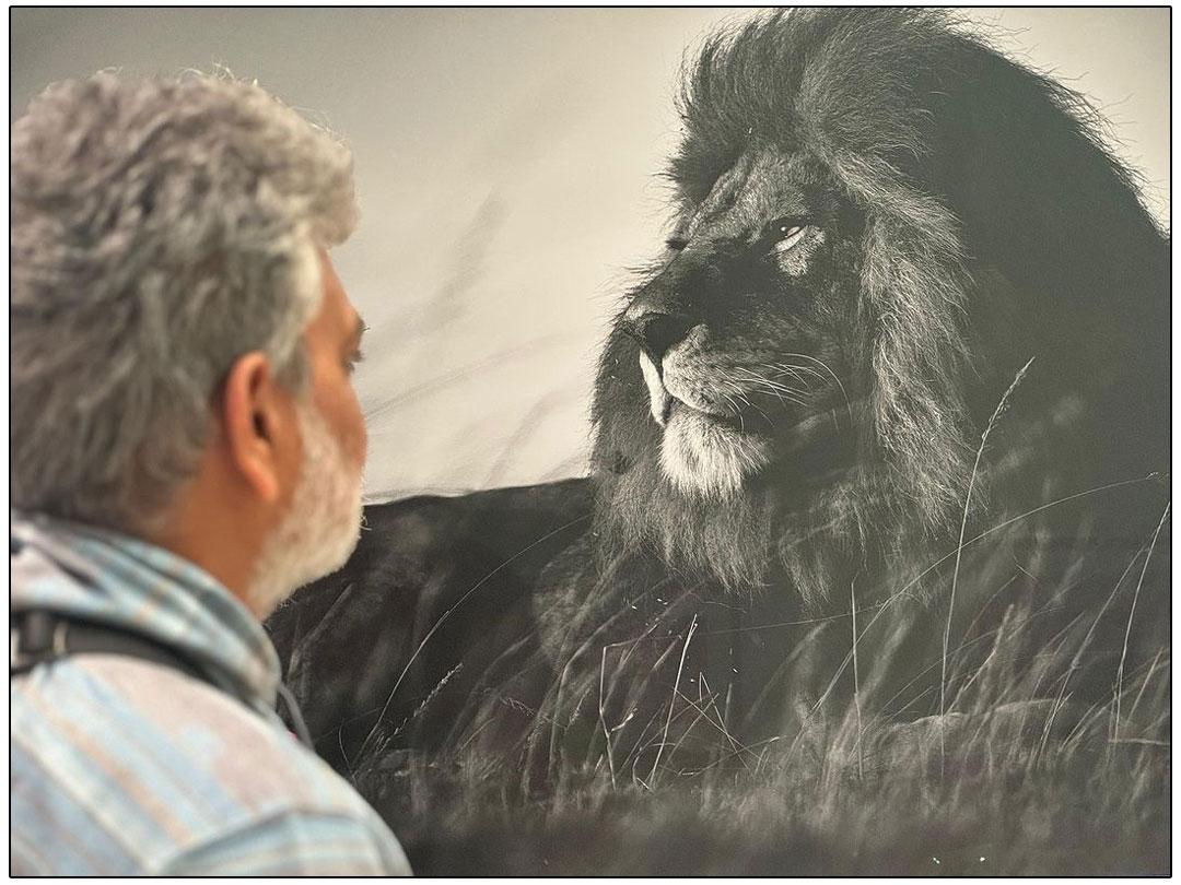 Rajamouli Dares Lion For Mahesh Babu
