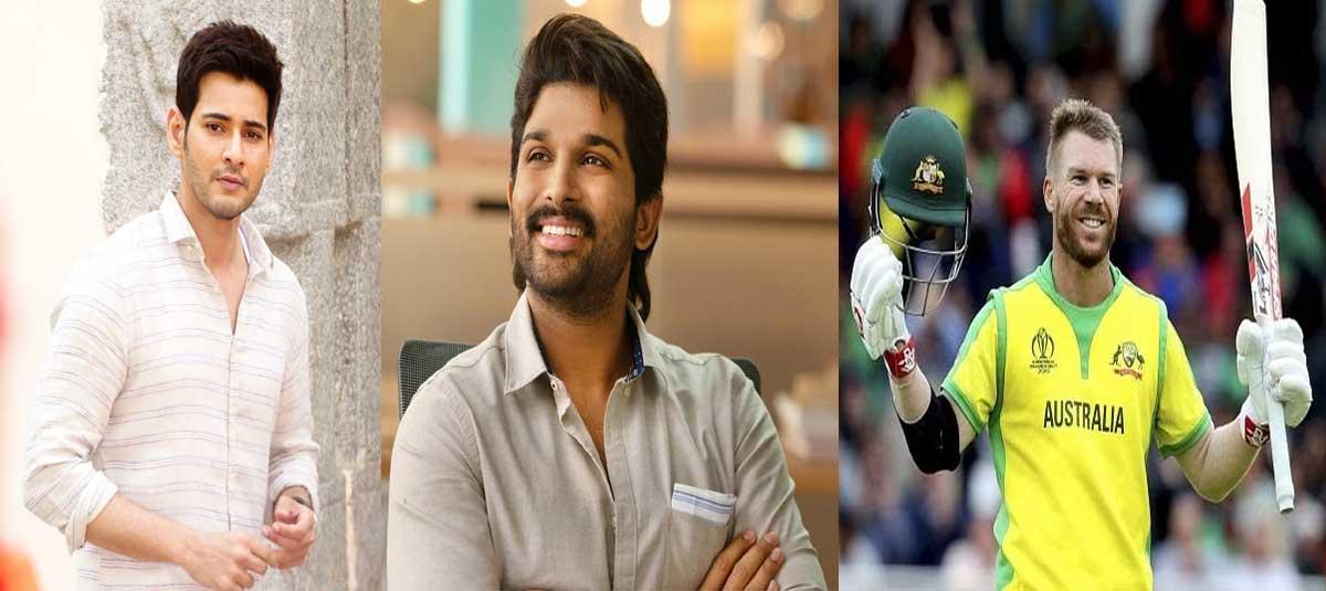 Warner wishes to fight  With Allu Arjun and Mahesh Babu