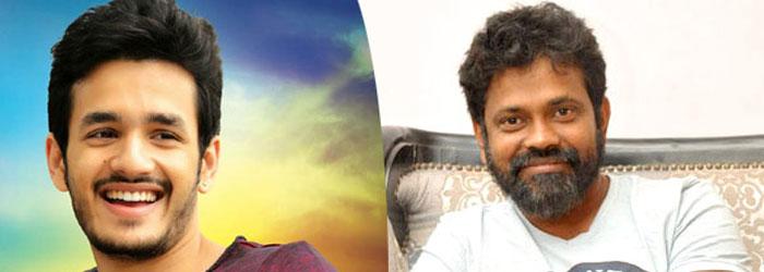 Crazy Director for Akhil 3rd Film?