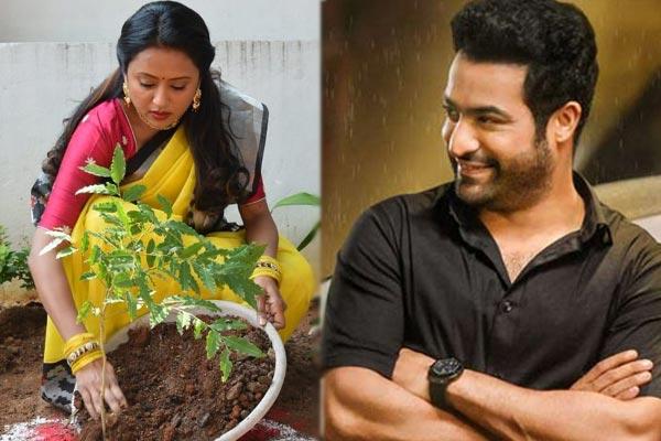 Star Anchor Dares To Challenge NTR