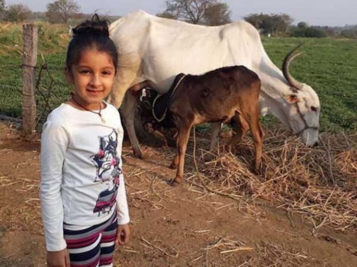 Super Star Daughter Farming