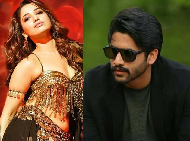 Milky Beauty's Magic for Savyasachi!