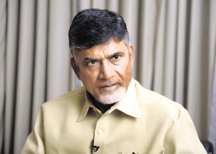 TDP MP Candidates List
