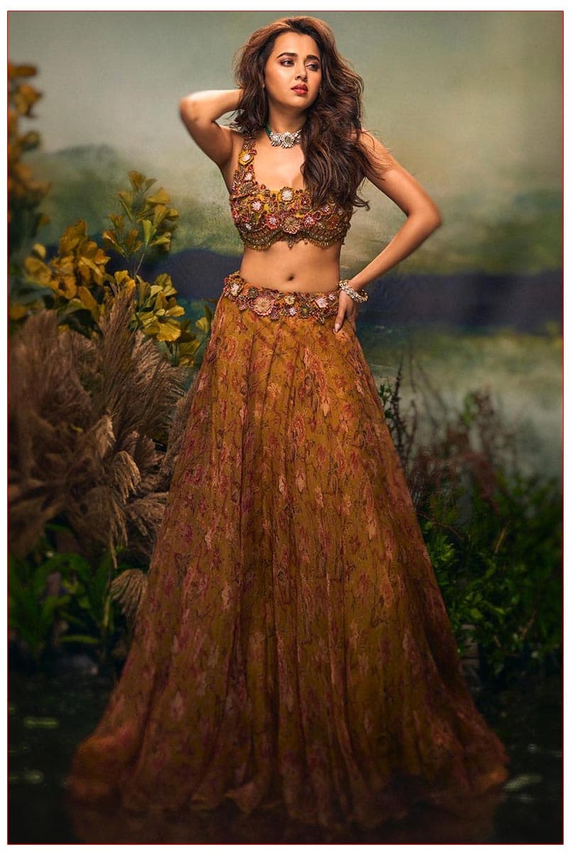 Tejasswi Prakash Traditional Temptations